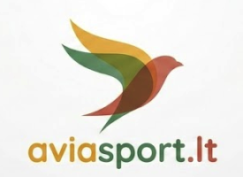 Pilotų egzaminų sistema